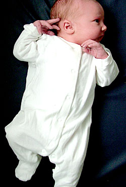 Image 1 of Jess on lockwood-holmes.com