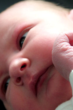 Image 2 of Jess on lockwood-holmes.com