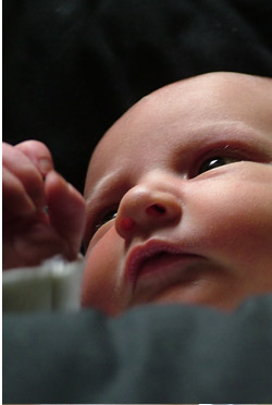 Image 6 of Jess on lockwood-holmes.com