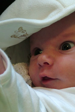 Image 7 of Meg on lockwood-holmes.com