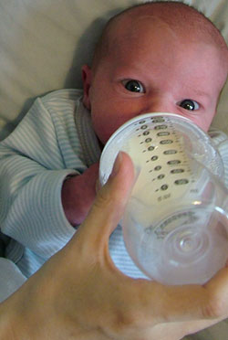 Image 8 of Meg on lockwood-holmes.com