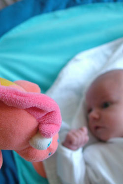 Image 11 of Meg on lockwood-holmes.com