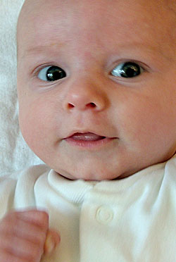 Image 15 of Meg on lockwood-holmes.com