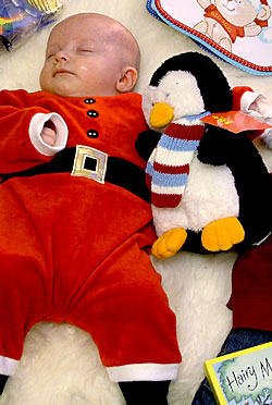 Image 18 of Meg on lockwood-holmes.com